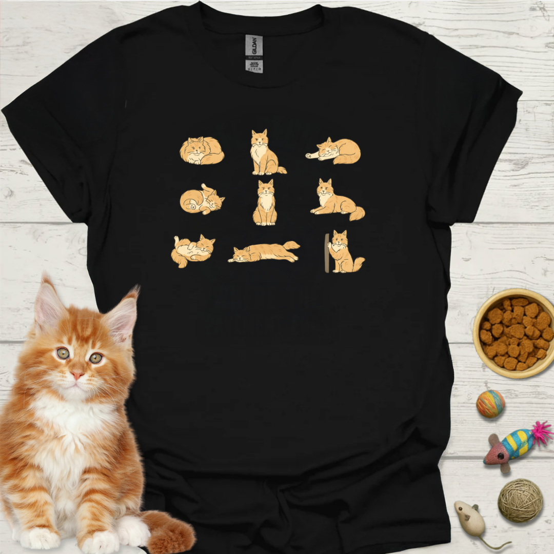 Cat Poses