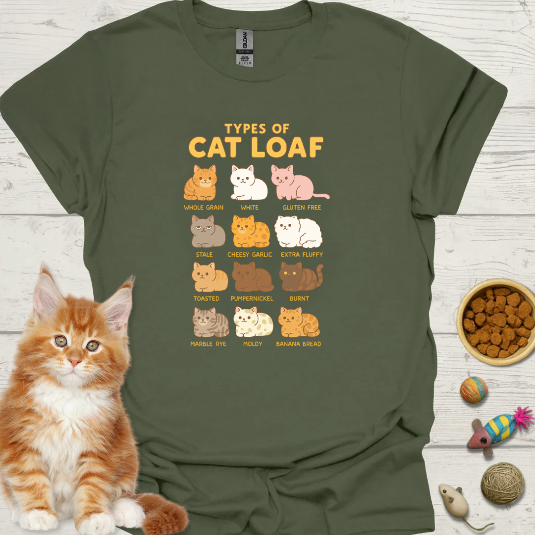 Types of Cat Loaf