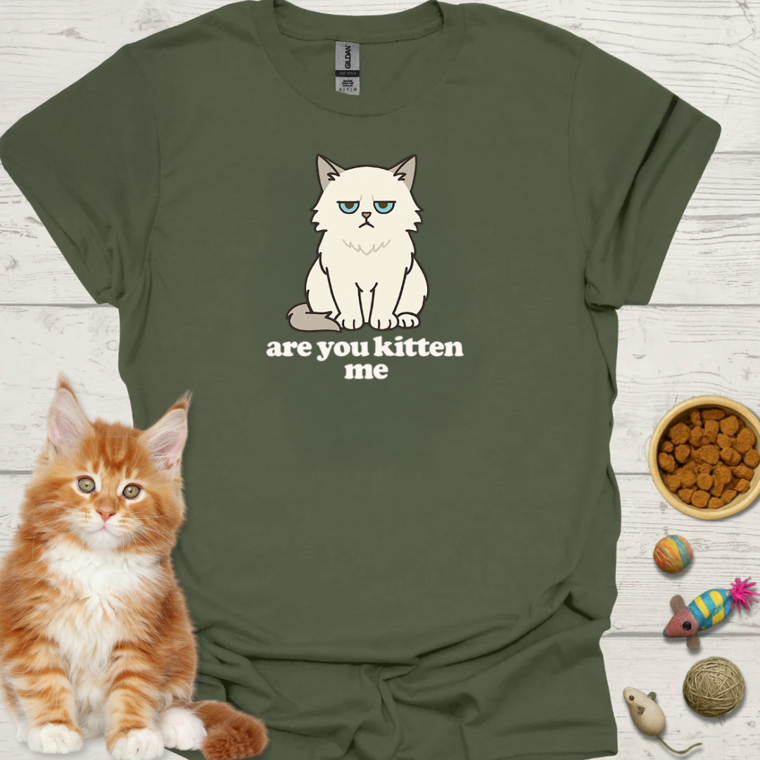 are you kitten me