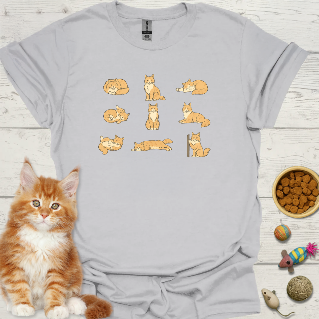 Cat Poses